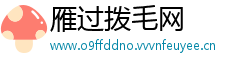 雁过拨毛网